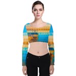 Mosaic  Velvet Long Sleeve Crop Top