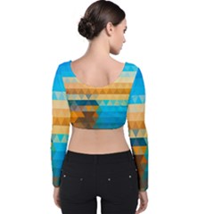 Velvet Long Sleeve Crop Top 