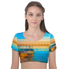 Velvet Short Sleeve Crop Top  