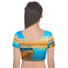 Velvet Short Sleeve Crop Top  