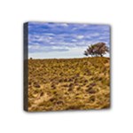 Patagonia Landscape Scene, Santa Cruz - Argentina Mini Canvas 4  x 4  (Stretched)