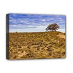 Patagonia Landscape Scene, Santa Cruz - Argentina Deluxe Canvas 16  x 12  (Stretched) 
