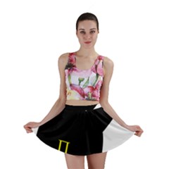 Mini Skirt Skirt Front