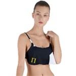 Bunny Girl Mask Layered Top Bikini Top 