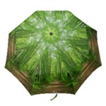 In the forest the fullness of spring, green, Folding Umbrellas