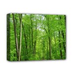 In the forest the fullness of spring, green, Deluxe Canvas 14  x 11  (Stretched)