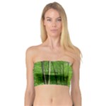In the forest the fullness of spring, green, Bandeau Top