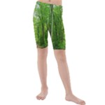 In the forest the fullness of spring, green, Kids  Mid Length Swim Shorts