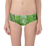 In the forest the fullness of spring, green, Classic Bikini Bottoms