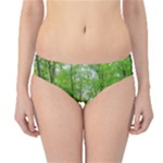 In the forest the fullness of spring, green, Hipster Bikini Bottoms