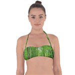 In the forest the fullness of spring, green, Halter Bandeau Bikini Top