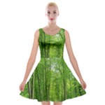 In the forest the fullness of spring, green, Velvet Skater Dress