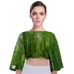 In the forest the fullness of spring, green, Tie Back Butterfly Sleeve Chiffon Top