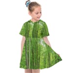 In the forest the fullness of spring, green, Kids  Sailor Dress