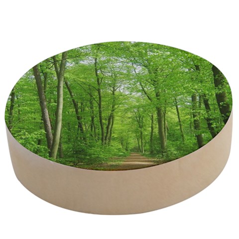 In the forest the fullness of spring, green, Wooden Bottle Opener (Round) from ArtsNow.com