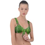 In the forest the fullness of spring, green, Front Tie Bikini Top