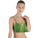 In the forest the fullness of spring, green, Layered Top Bikini Top 