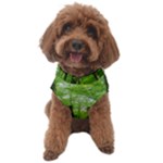 In the forest the fullness of spring, green, Dog Sweater