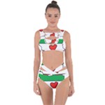 Heart Flag Map of Iran  Bandaged Up Bikini Set 