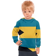 Kids  Hooded Pullover 