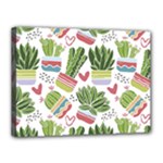 Cactus Love  Canvas 16  x 12  (Stretched)