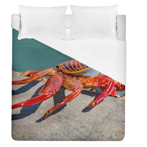 Colored Crab, Galapagos Island, Ecuador Duvet Cover (Queen Size) from ArtsNow.com
