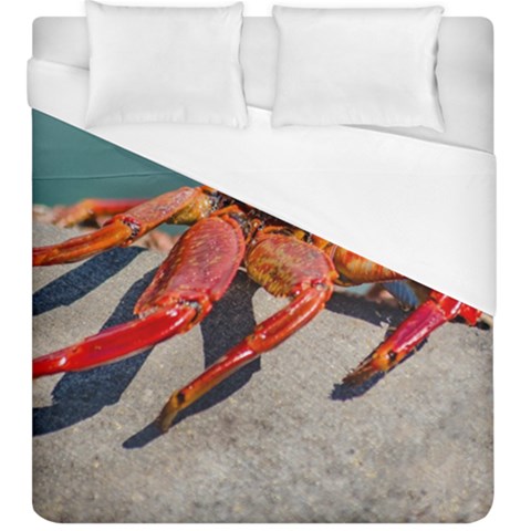 Colored Crab, Galapagos Island, Ecuador Duvet Cover (King Size) from ArtsNow.com