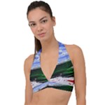 Color Twist Halter Plunge Bikini Top