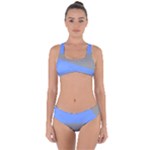 Blue and gray Saw Criss Cross Bikini Set