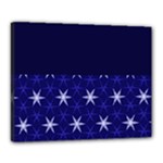 Bluestars Canvas 20  x 16  (Stretched)