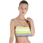 Deminonbinary Pride Flag LGBTQ Layered Top Bikini Top 