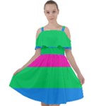 Polysexual Pride Flag LGBTQ Cut Out Shoulders Chiffon Dress