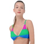 Polysexual Pride Flag LGBTQ Knot Up Bikini Top