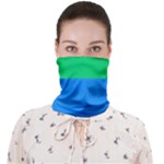 Polysexual Pride Flag LGBTQ Face Covering Bandana (Adult)