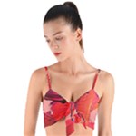 Red Paint Woven Tie Front Bralet
