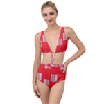 Gray Squares on red Tied Up Two Piece Swimsuit