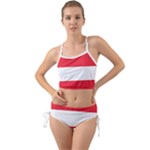 Flag of Austria Mini Tank Bikini Set