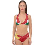 Seychelles flag Double Strap Halter Bikini Set