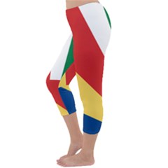 Capri Winter Leggings  Back