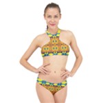 Tribal pattern                                                          High Neck Bikini Set