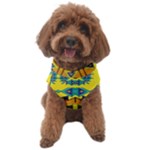 Tribal pattern                                                     Dog Sweater