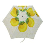 Illustration Sgraphic Lime Orange Mini Folding Umbrellas
