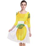 Illustration Sgraphic Lime Orange Quarter Sleeve Waist Band Dress