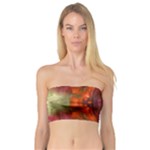 Landscape In A Colorful Structural Habitat Ornate Bandeau Top