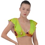 Geo Abstract 1 Plunge Frill Sleeve Bikini Top