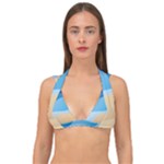 Illustrations Waves Line Rainbow Double Strap Halter Bikini Top