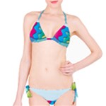 Illustrations Fish Sea Summer Colorful Rainbow Classic Bikini Set