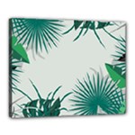 Illustrations Foliage Background Border Canvas 20  x 16  (Stretched)