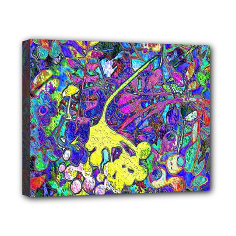 vibrant abstract floral/rainbow color Canvas 10  x 8  (Stretched) from ArtsNow.com