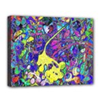 vibrant abstract floral/rainbow color Canvas 14  x 11  (Stretched)